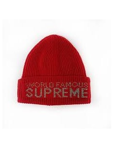 Supreme Cap World Famous Beanie red