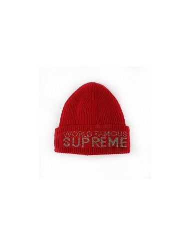 Supreme Cap World Famous Beanie red